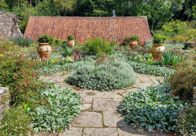 The Dutch Garden, Hestercombe, Taunton