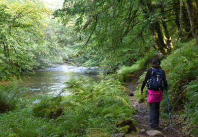 A riverside path by the River Barle in Dulverton