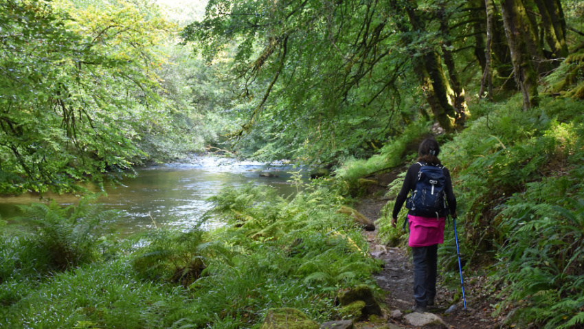 A riverside path by the River Barle in Dulverton